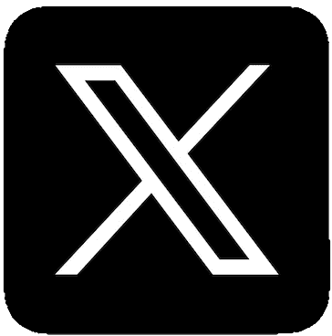 公式X